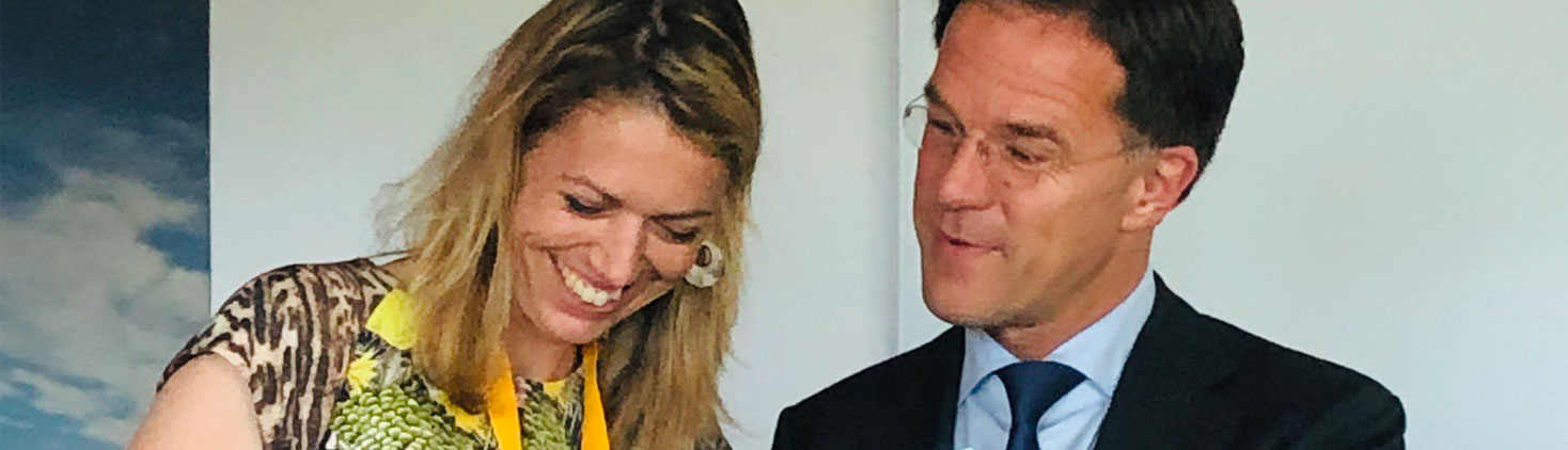 Mark Rutte Ontvangt Ai Rapport Van Ecp Dune Pebbler